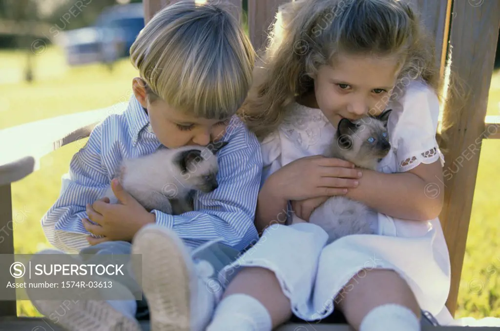 Boy and a girl sitting with Siamese kittens