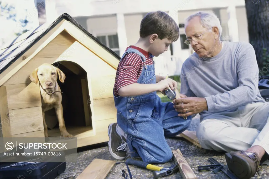 Grandfather and his grandson building a kennel