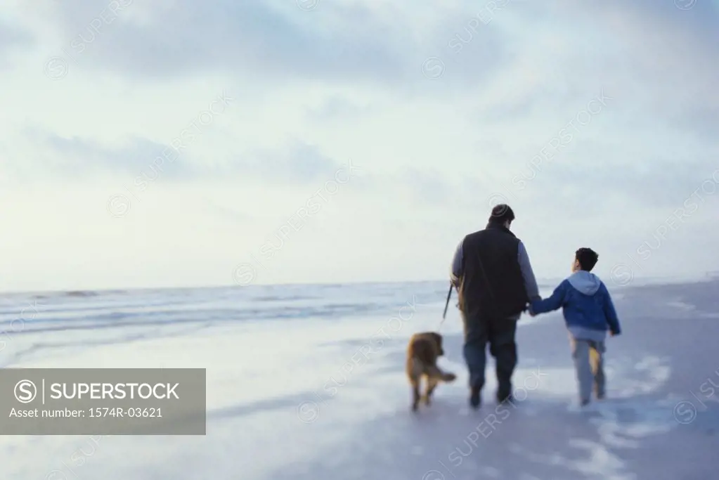 Rear view of a father and his son walking with their dog on the beach
