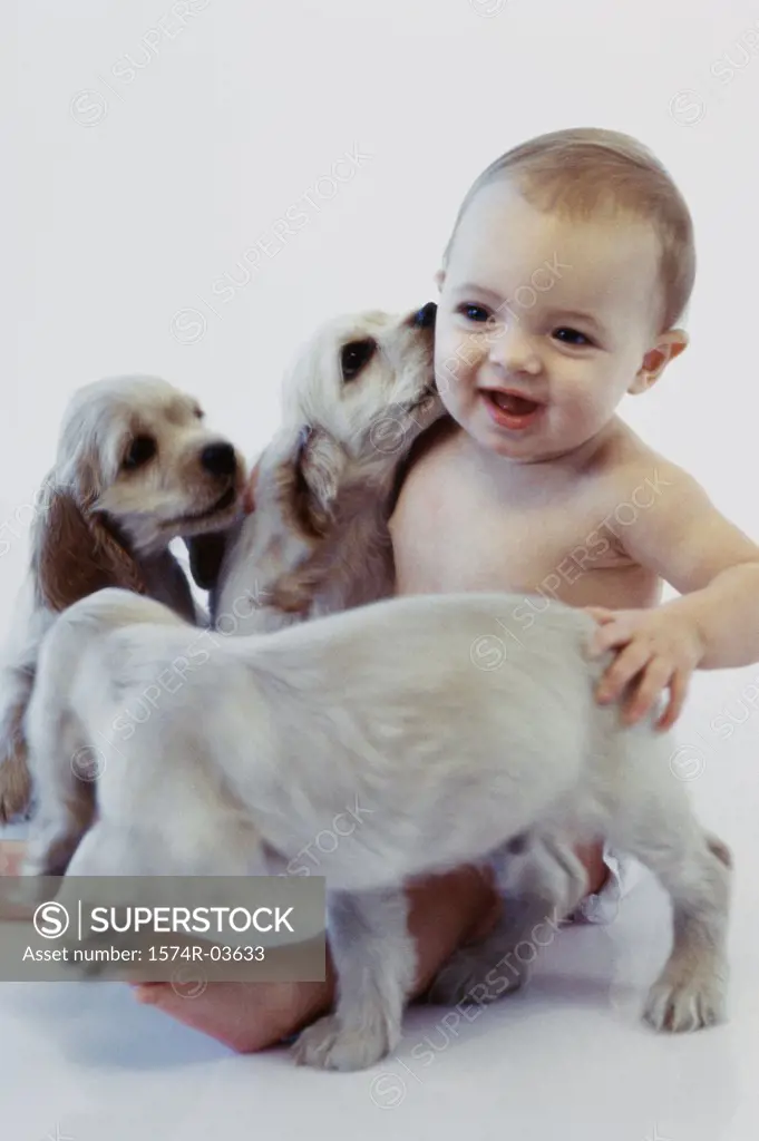 Baby boy playing with puppies