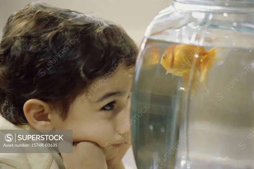 Boy looking at a goldfish in a bowl