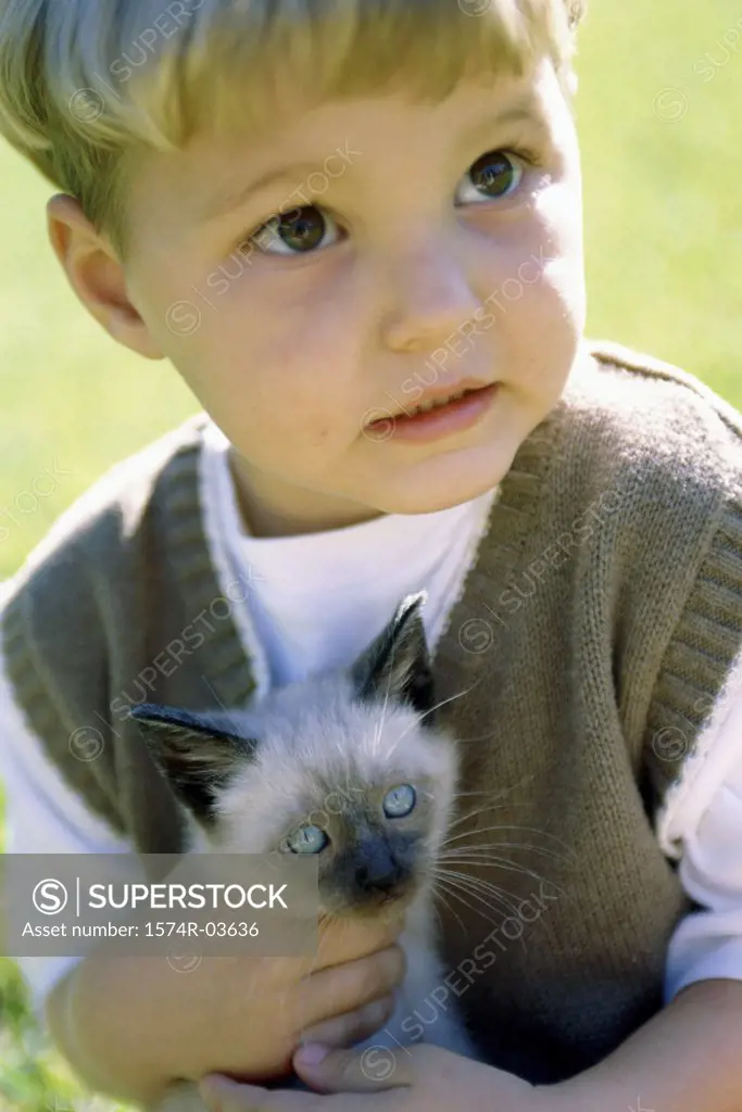 Close-up of a boy holding a Siamese kitten