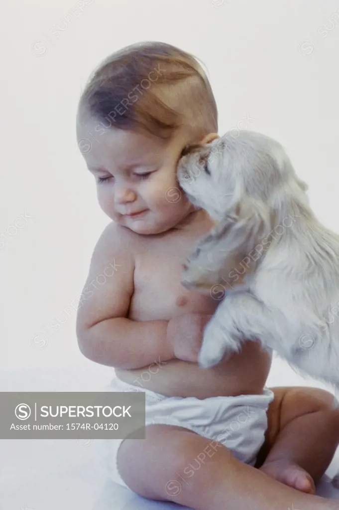 Puppy licking a baby boy's face