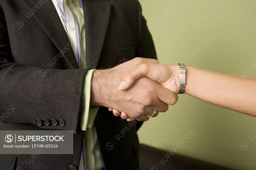 Businessman and a businesswoman shaking hands