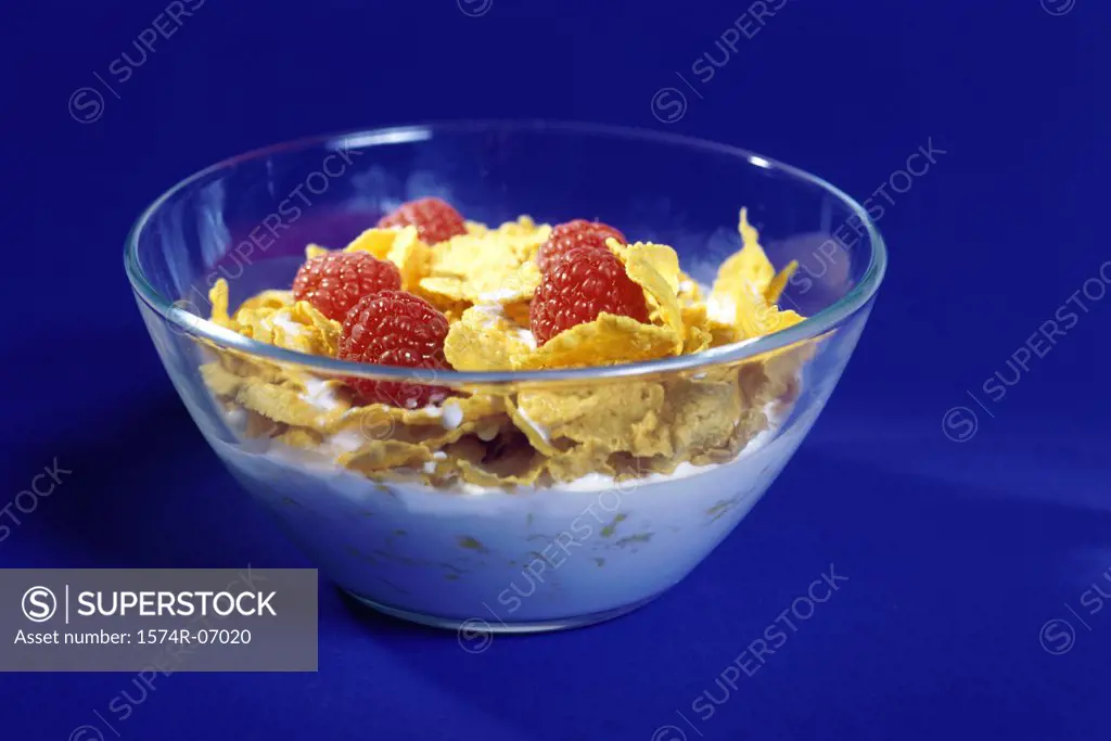 Close-up of a bowl of corn flakes