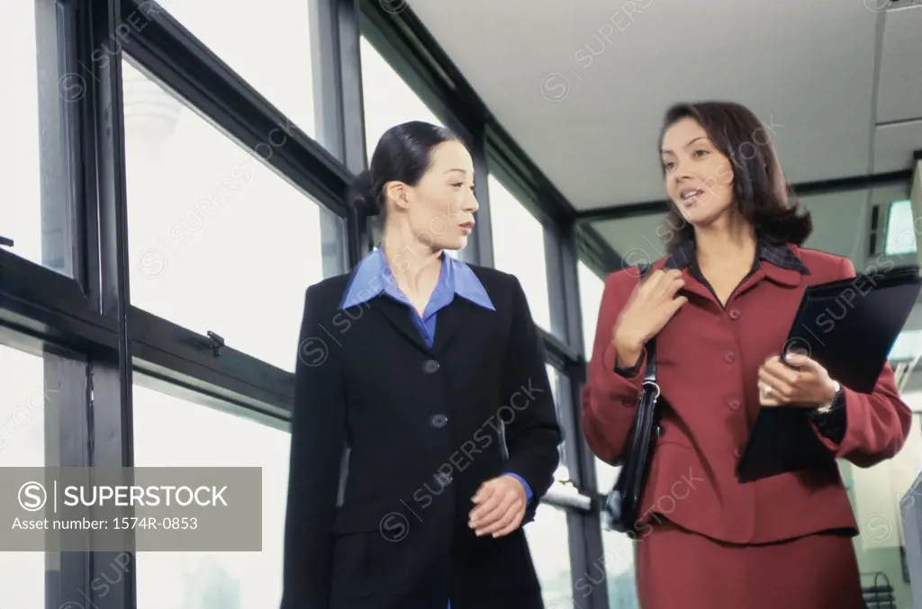 Two young businesswomen talking to each other