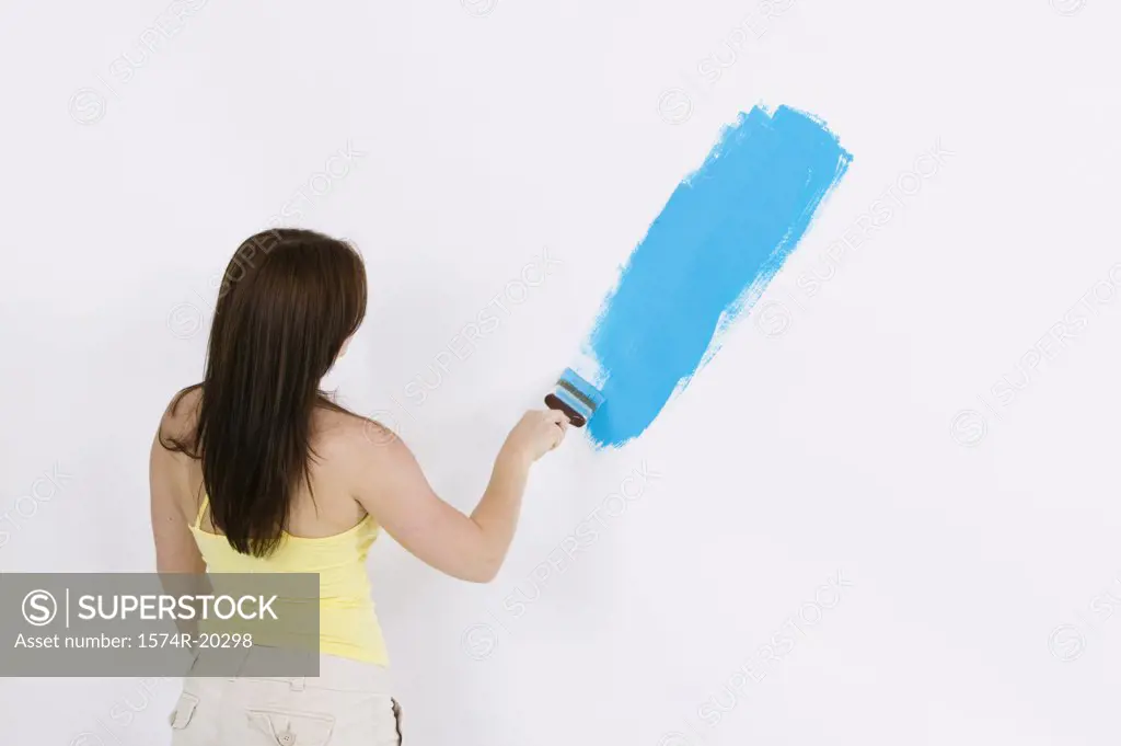 Rear view of a young woman painting a wall