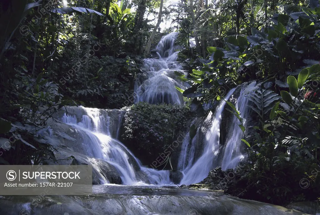 Waterfall in a forest, Jamaica