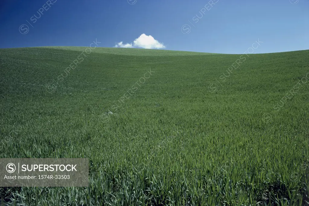 Panoramic view of a landscape