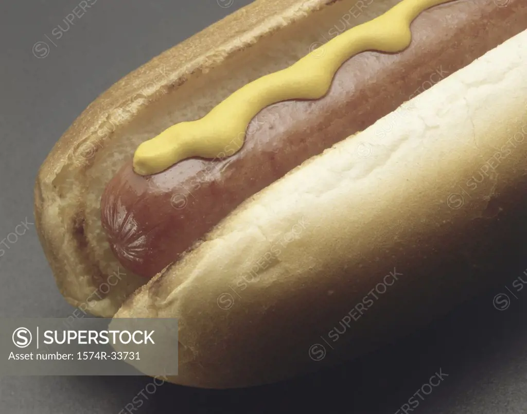 Close-up of a hot dog