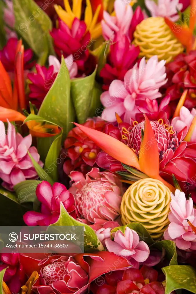 Close-up of assorted flowers, Papeete, Tahiti, French Polynesia