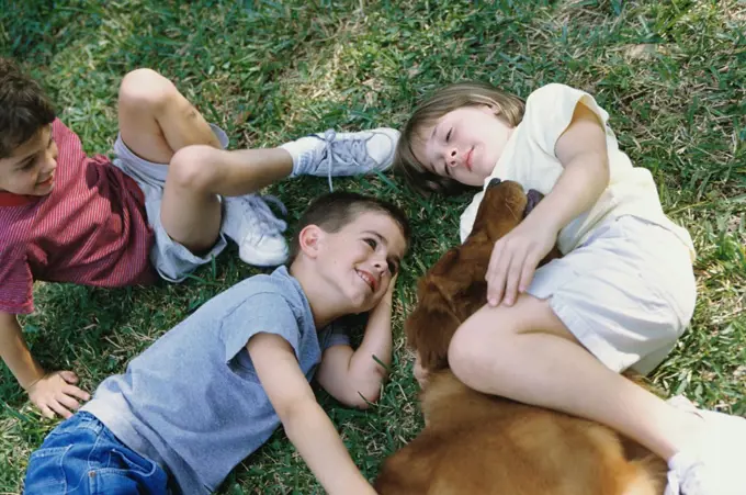 High angle view of two boys and a girl lying on grass with a dog