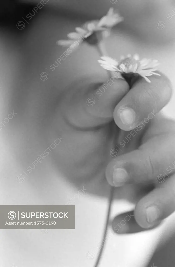 Baby´s hand holding flowers