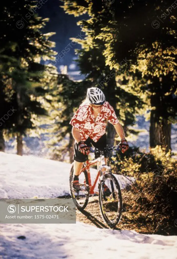 Mountain Bike Rider, Whistler Resort, B.C.