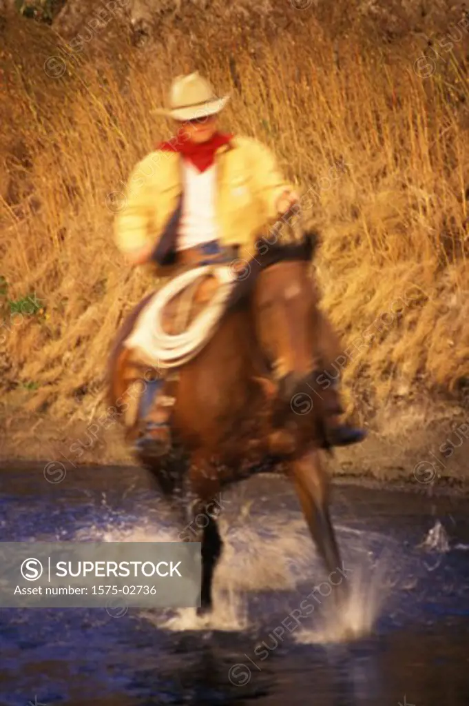 Cowboy riding through stream, Douglas Lake Ranch, British Columbia, Canada´