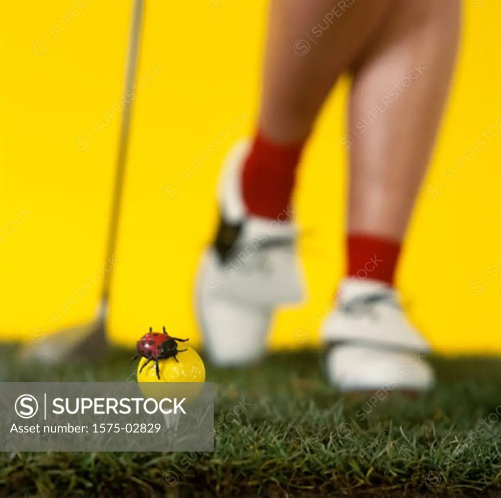 Ladybug on golf ball in front of woman with club