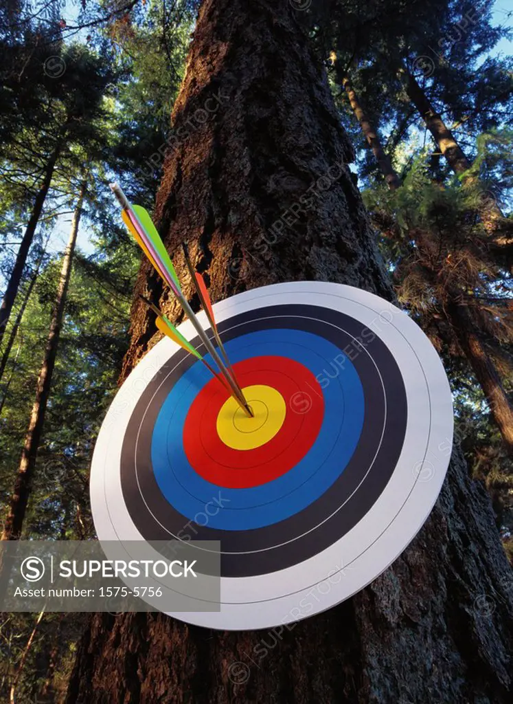 Target on tree, arrow splitting arrow.