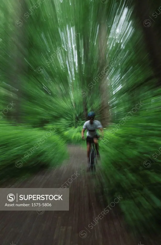 Blur of a mountain biker in the forest