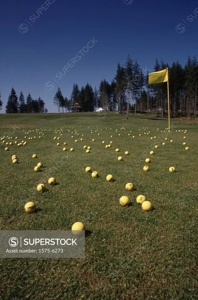 golf green with yellow golf balls and yellow flag