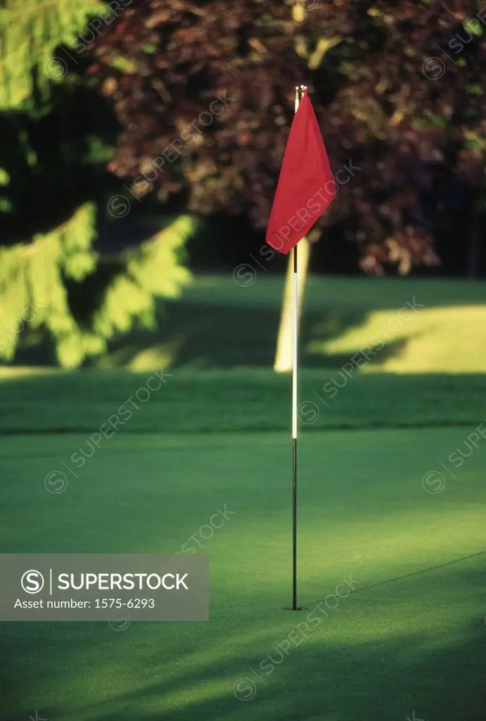 Red Flag on golf course, Point Grey Golf Course, Vancouver, BC