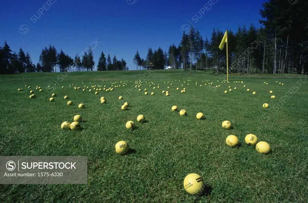 Yellow Golf balls on golf green with yellow flag