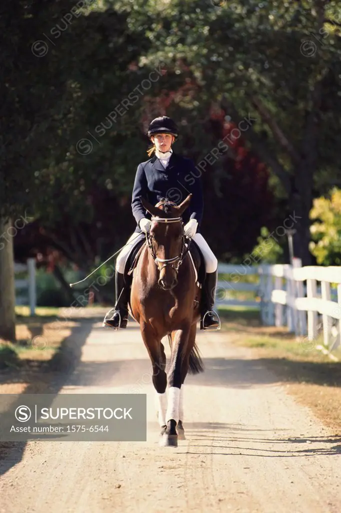 English style horseback rider and horse on path