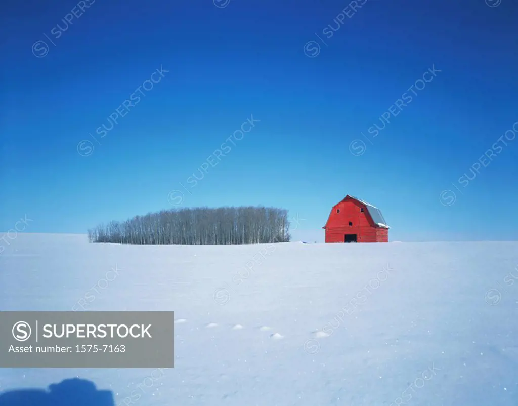 Red barn in winter, Dawson Creek, BC