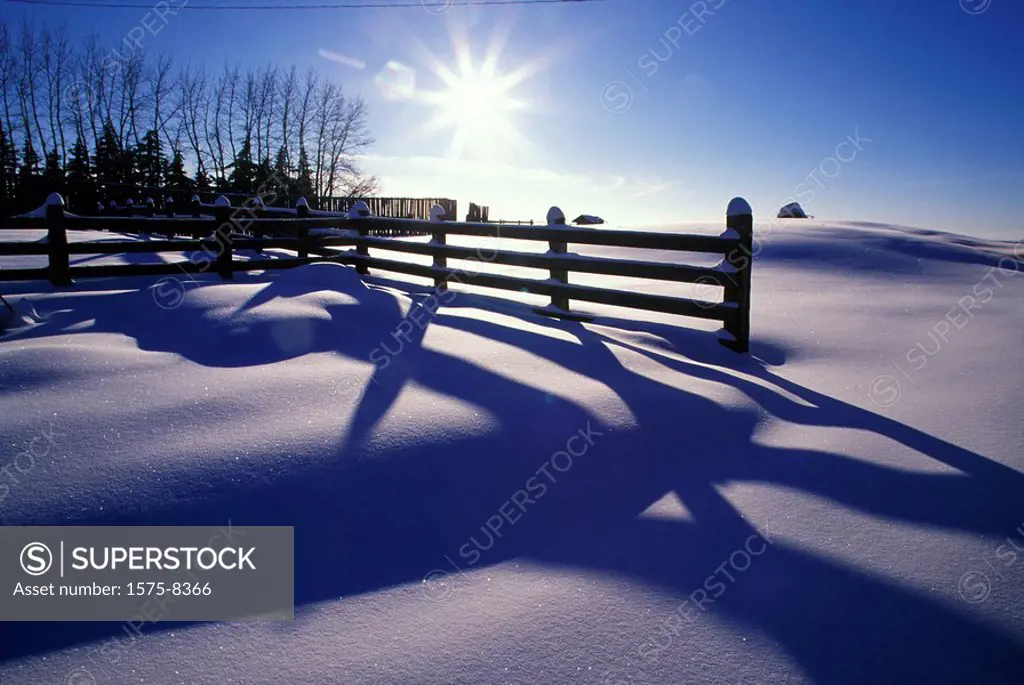 Winter shadows, Alberta, Canada