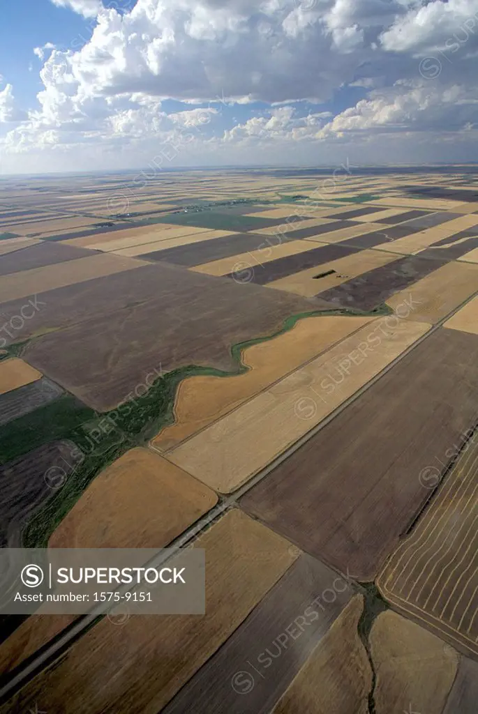 Aerial of Saskatchewan wheat fields, Canada
