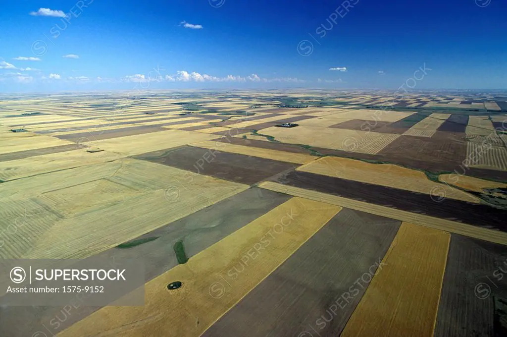 Aerial of Saskatchewan wheat fields