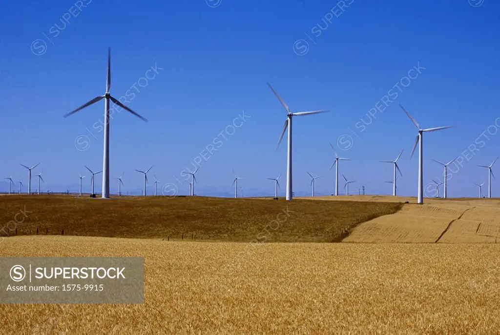 Windmills in Southern Alberta