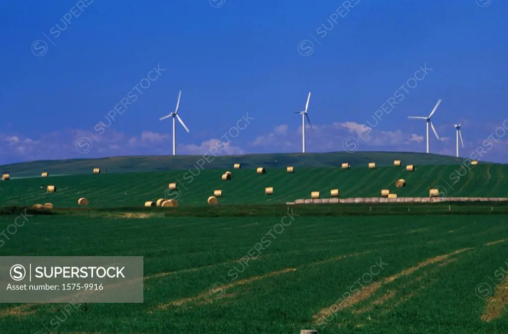 Windmills and hay bales
