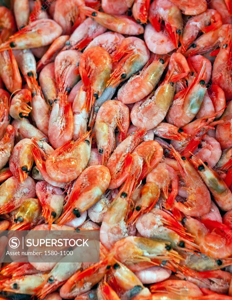 Fresh caught shrimp, Bergen, Norway