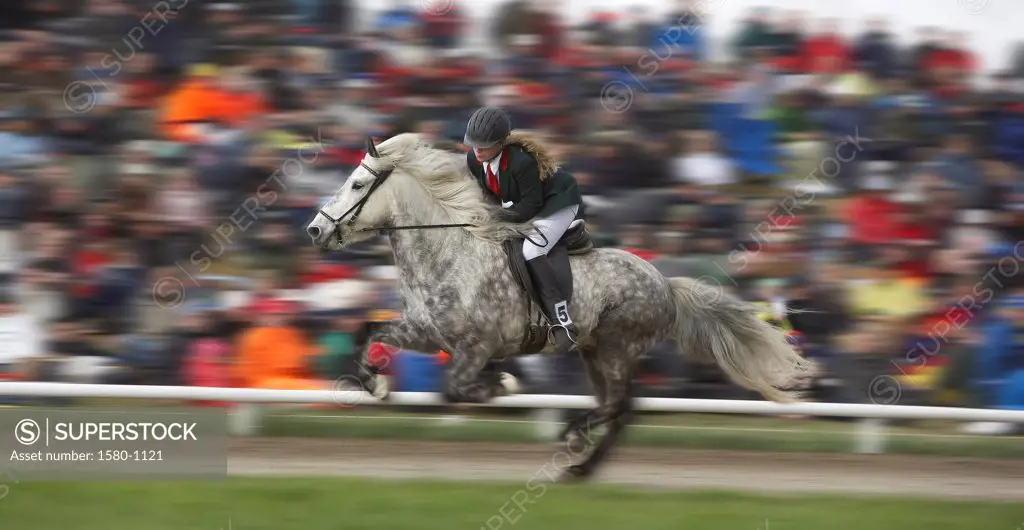 Child riding a horse in Landsmot horse competition, Iceland