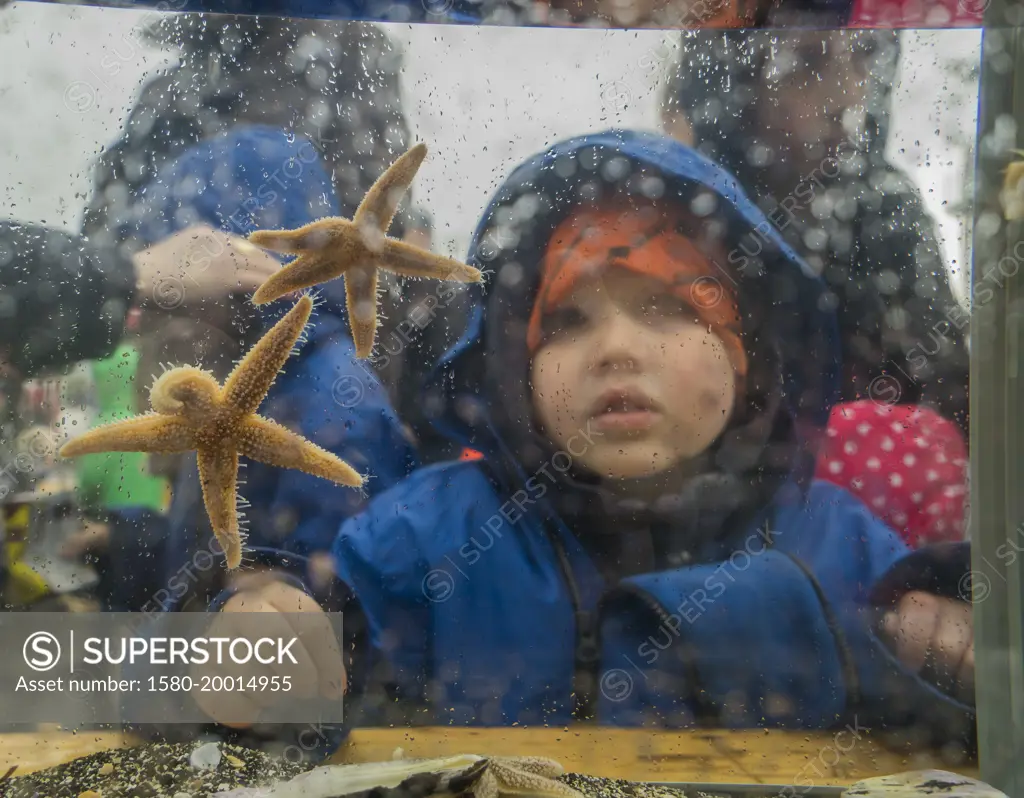 Children learning about shellfish during the annual Seaman's Day Festival, Reykjavik, Iceland