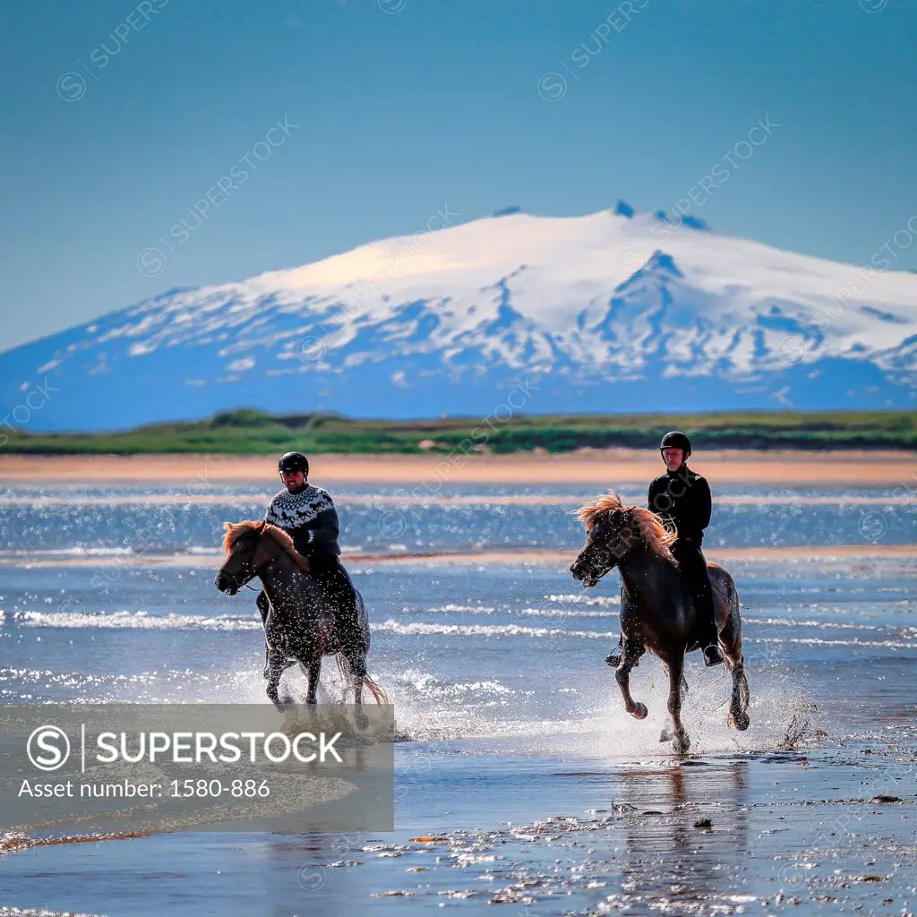 Iceland, Snaefellsnes Peninsula, Horseback riding on Longufjordur, Snaefellsjokull Glacier in background