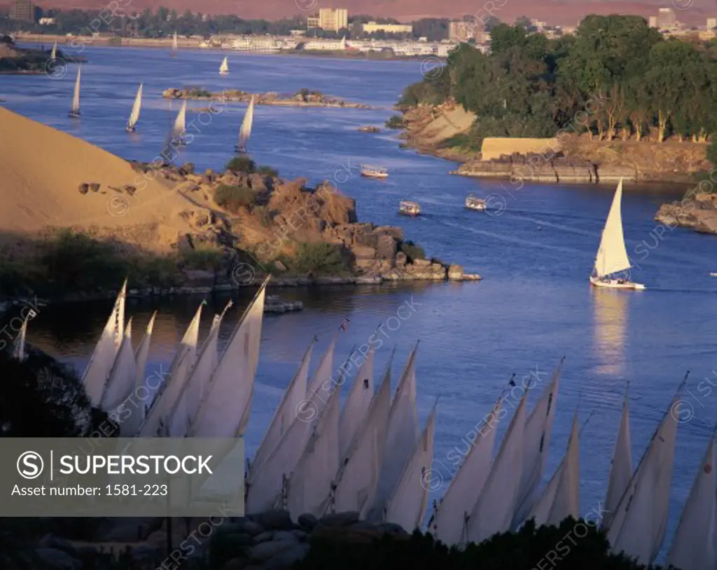 High angle view of boats in a river, Nile River, Aswan, Egypt