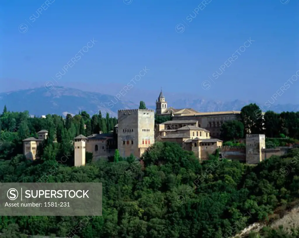 Buildings surrounded by trees, Alhambra, Granada, Spain