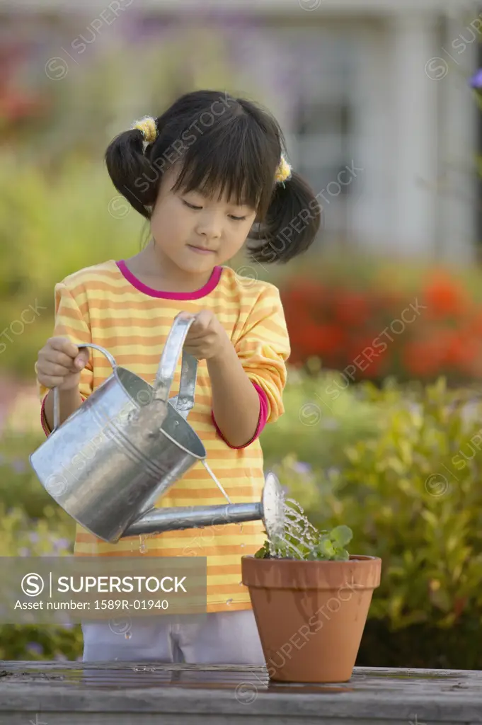 Girl watering a plant