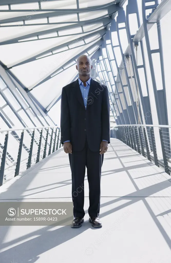 Businessman standing on a walk bridge