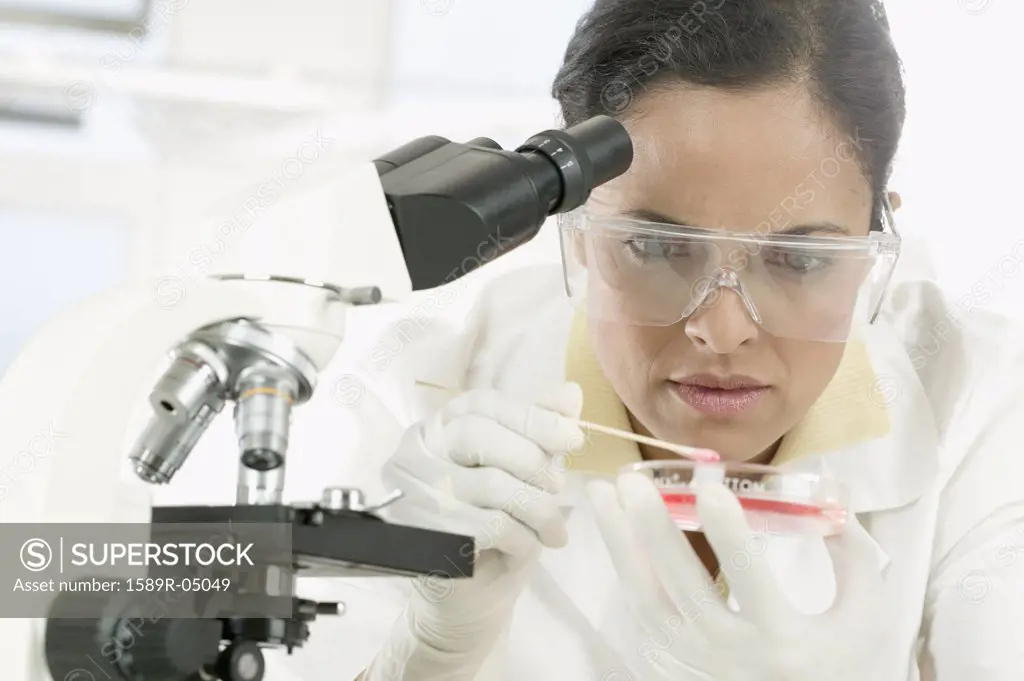 Female scientist mixing a solution in a Petri dish in front of a microscope