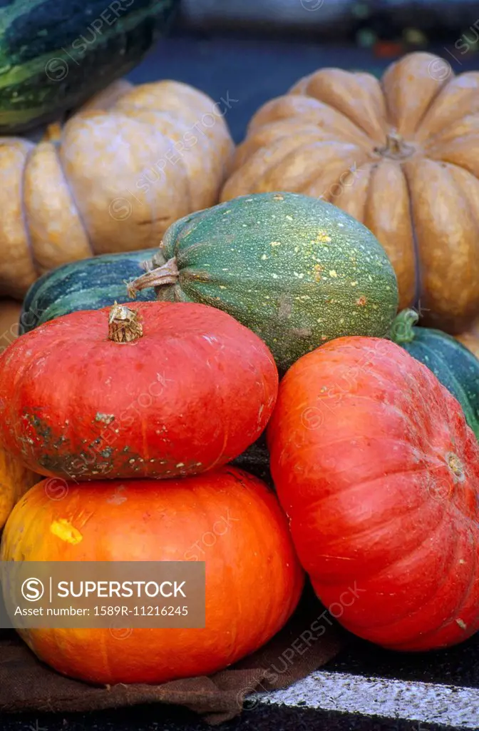 Pile of pumpkins of various colors