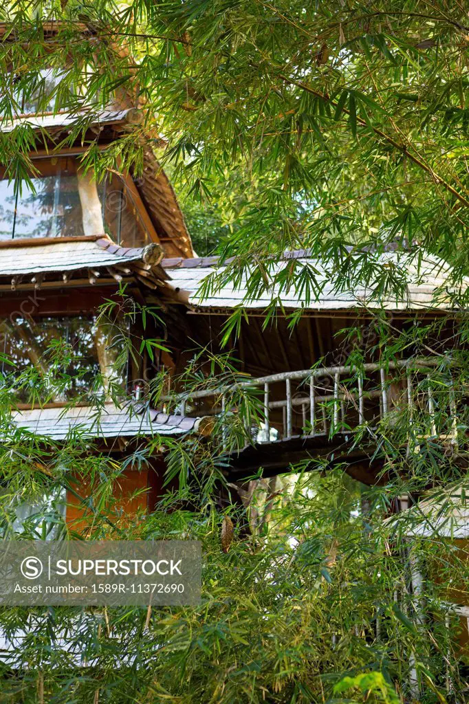 Bamboo treehouse, Ubud, Bali, Indonesia