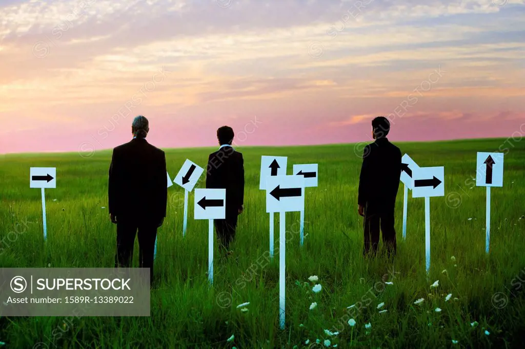 Businessmen with arrow signs in field