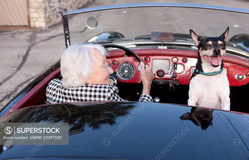 Older woman driving convertible with dog