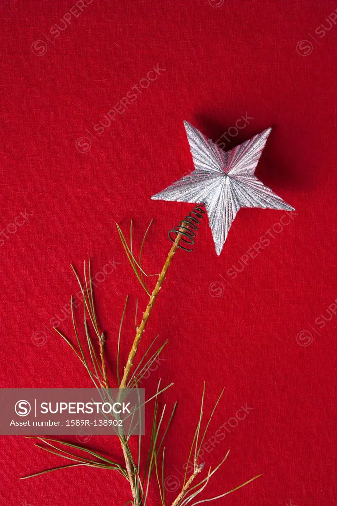 Silver star on top of Christmas tree