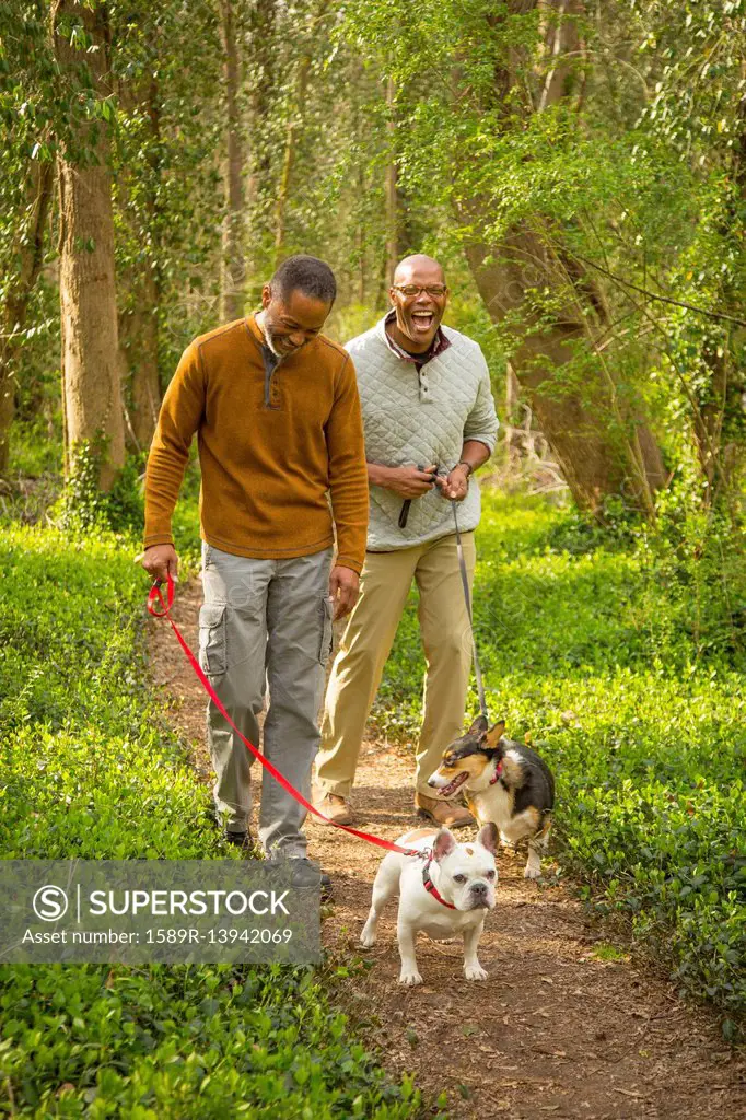 African American men walking dogs on path in forest