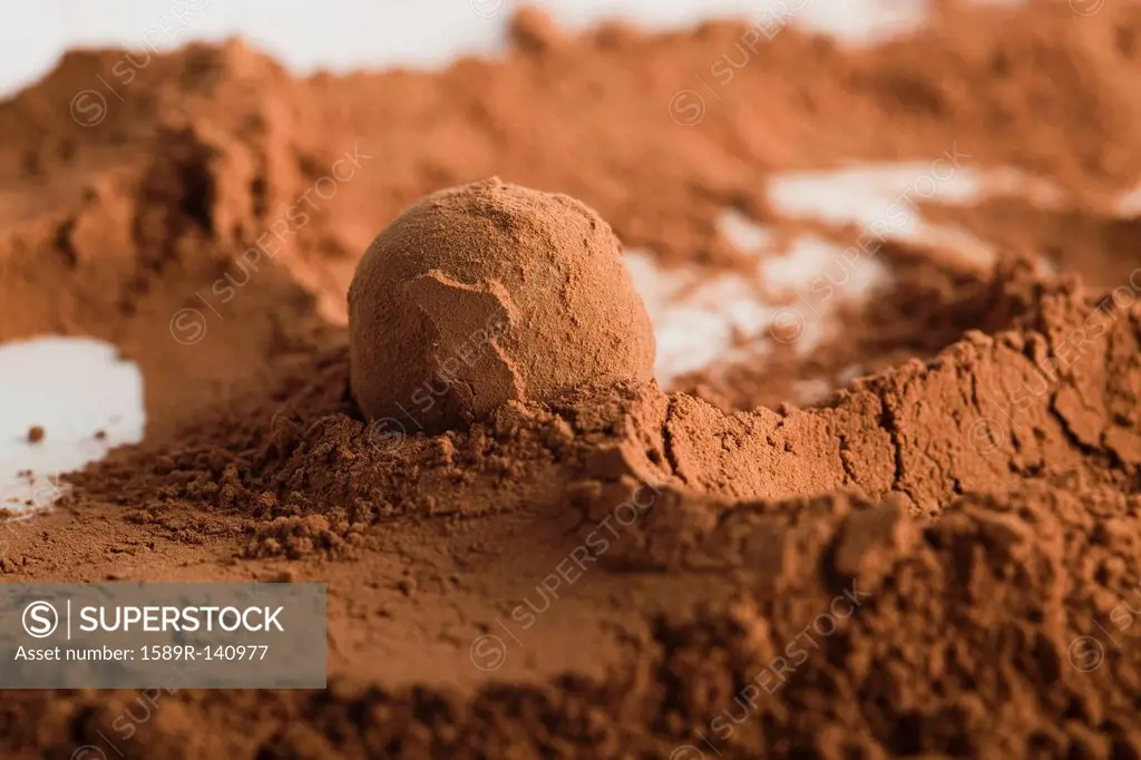 Chocolate ball in cocoa powder