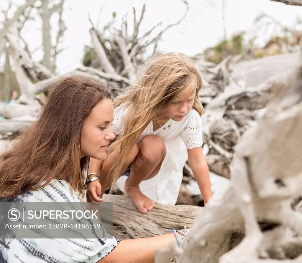 Caucasian mother and daughter examining driftwood on beach