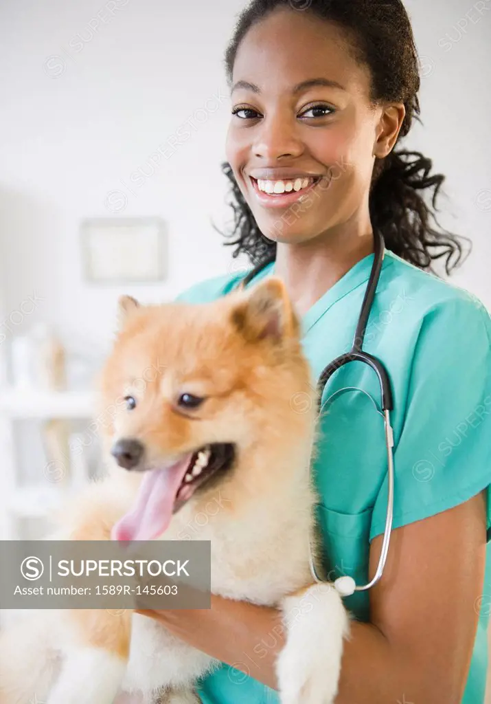 Mixed race veterinarian holding Pomeranian dog